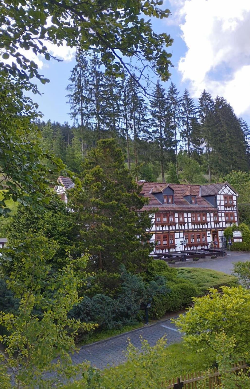 Pension Landhaus Machold Friedrichroda Bagian luar foto