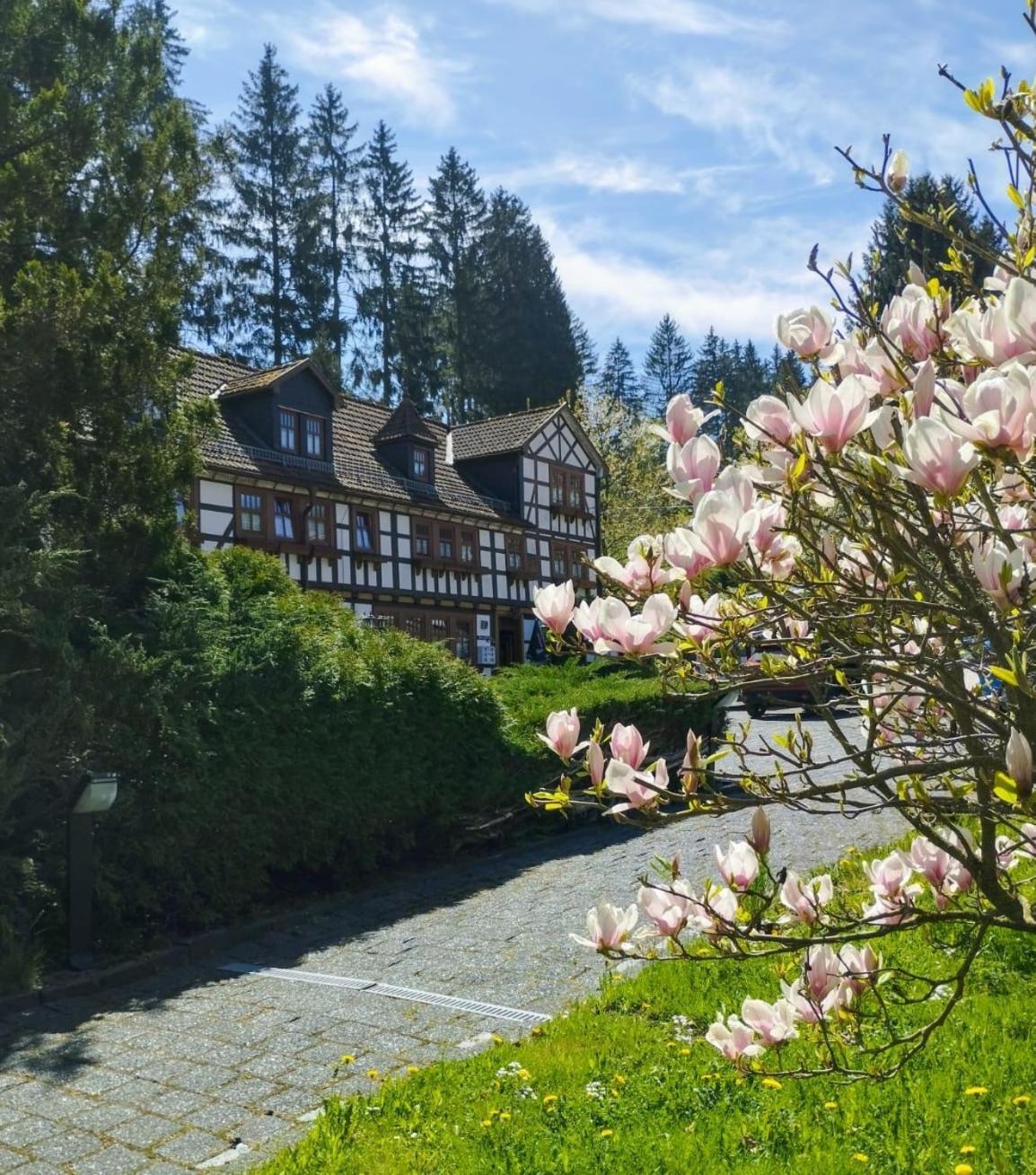 Pension Landhaus Machold Friedrichroda Bagian luar foto