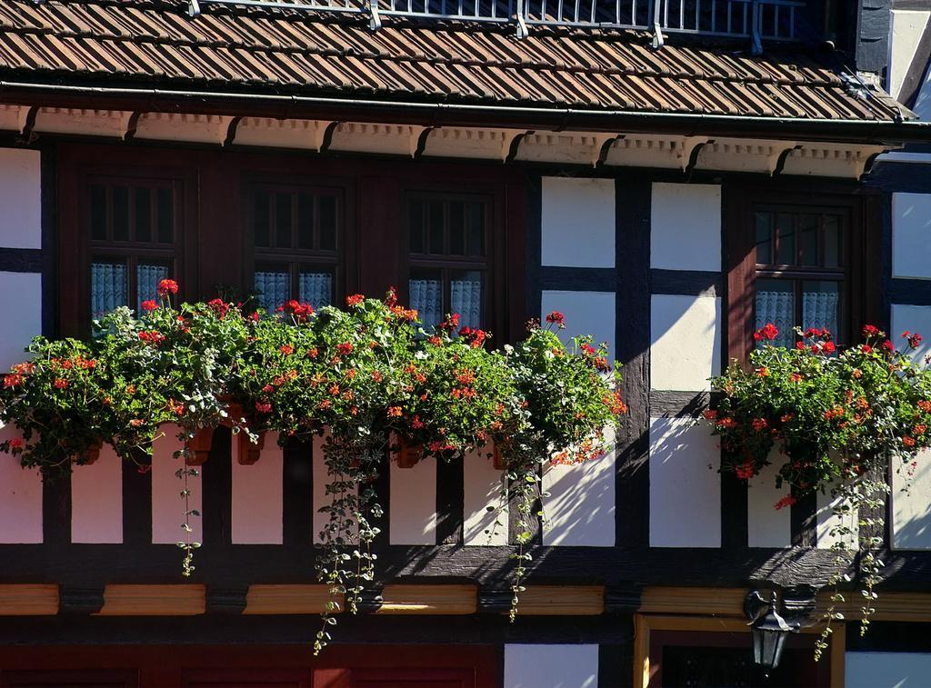 Pension Landhaus Machold Friedrichroda Bagian luar foto